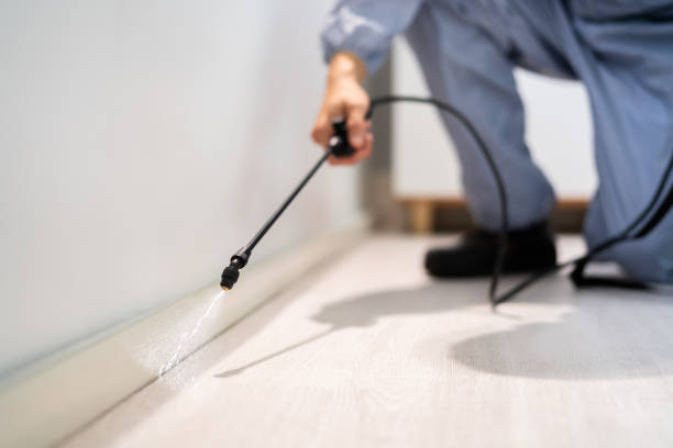 Licensed Cockroach Control service in Inkster, MI - Nex Pest Control